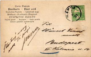 Dárda (?), gyerekek népviseletben, piac / children in folk costume. photo