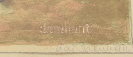 Vidai Brenner Nándor (1903-?): Hazafelé. Litográfia, papír, jelzett. Lap széle vágott. Üvegezett fak...