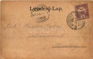 1901 Zsombolya, Hatzfeld, Jimbolia; Fő tér, Kohl Testvérek üzlete és saját kiadása / main square, pu...