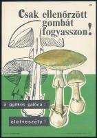 1969 Csak ellenőrzött gombát fogyasszon! Villamosplakát, papír, jelzés nélkül, Zrínyi (T) Nyomda, 24×17 cm