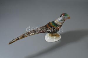 Bodrogkeresztúri fácán, kézzel festett, hibátlan, 32x15 cm