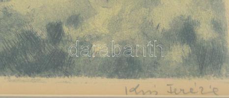 Kiss Terézia (1928-2016): Zebegényi házak. Színezett rézkarc, papír, jelzett. Ázásnyommal. 29,5x38 c...