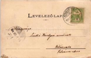 1904 Ada Kaleh, Török kávéház, bazár, vízipipázó Bego Mustafa (Kossuth Lajos megmentője). Hairy és A...