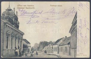 Szenice with synagogue (EB)