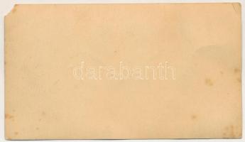 Budapest II. Széna tér, a Budakeszire közlekedő 22-es autóbusz végállomása, sofőr, kalauz, vegyesker...