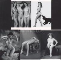 Szolidan erotikus felvételek tétele, 5 db modern nagyítás, jelzés nélkül, 15x10 cm