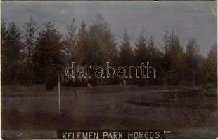 1911 Horgos, Kamaráserdő; Kelemen villa parkja. Hátoldalon Kelemen Béláné levele / villa park. photo...