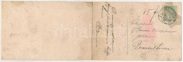 Nagykikinda, Kikinda; látkép, Joanovits M., Marko Bogdan, Hollinger Jakab, Fellner János, Martinovit...