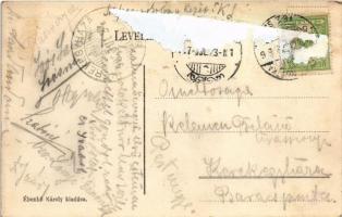 1907 Fenyőháza, Lubochna; Fürdő szálloda. Ébenhő Károly kiadása / spa hotel, villa (ázott / wet dama...