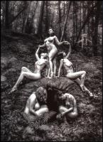 cca 1980 "Az erdőt járó favágók álma teljesült", szolidan erotikus felvétel, 1 db modern nagyítás, jelzés nélkül, 21x15 cm