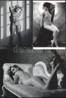 cca 1978 Eltérő időben készült, szolidan erotikus felvételek, 3 db modern nagyítás, jelzés nélkül, 15x21 cm és 15x10 cm