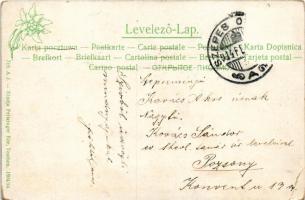 1914 Szepesolaszi, Szepes-Olaszi, Wallendorf, Spisské Vlachy; Hauptplatz mit Rathaus u. kath. Kirche...
