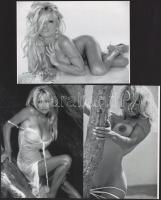 cca 1989 Pamela Anderson kanadai - amerikai modell fiatalkori, szolidan erotikus felvételei, 3 db modern nagyítás, jelzés nélkül, 15x21 cm és 21x15 cm