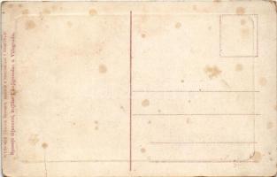 Visegrad (Bosnia), general view, bridge. W.L. Bp. 4858. (fa)