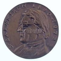 Borsos Miklós (1906-1990) 1972. "Dr. Barát Irén 1890-1972" egyoldalas bronz emlékérem (60m...