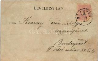 1899 Szarvas, Evangélikus templom, Posta és adóhivatal, Dr. Lengyel Sándor háza, vasútállomás, szélm...