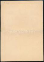 1919 Magyar Tanácsköztársasági arcképek emléklap bélyegzés nélkül / souvenir card without cancellati...