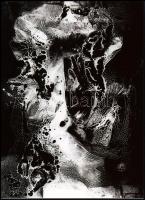 1945 Josef Istler (1919-2000) cseh fotóművész alkotása (Chemigram ? vegyszerekkel, fotópapíron létrehozott absztrakció), 1 db modern nagyítás, jelzés nélkül, 21x15 cm