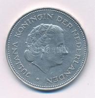Hollandia 1970. 10G Ag "Julianna / A felszabadítás 25. évfordulója" T:AU
Netherlands 1970...