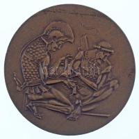 Kiss Nagy András (1930-1997) DN "Fodor József 1843-1901" kétoldalas vert bronz emlékérem (...