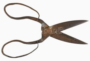cca 19. sz. vége, birkanyíró olló, kovácsolt vas, h: 24 cm