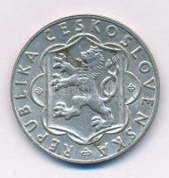 Csehszlovákia 1954. 10K Ag "A szlovák felkelés 10. évfordulója" T:XF patina, ph. Czechoslo...
