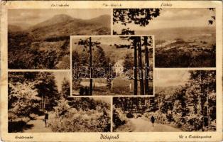 Diósjenő, erdőrészlet, látkép, főerdészlak, út a Csóványoshoz (gyűrődések / creases)