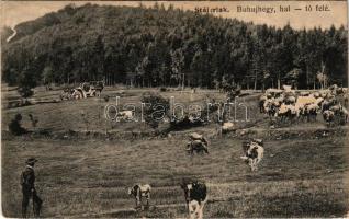 1924 Stájerlak, Steierlak, Stájerlakanina, Steierdorf, Anina; Buhuj hegy és Hal tó, legelő szarvasmarhák, autó. Scheitzner Ig. / mountain, cattle, automobile