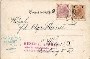 1900 Bad Pirawarth, Heilbad. Fr. Sladik / spa, street view. Art Nouveau, floral (EK)