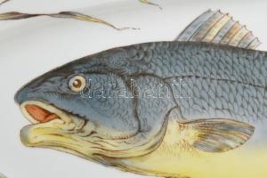 cca 1880-1900 Nagyméretű halszervírozó tál, számozott, kopással, 61x15 cm