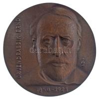 Ács József (1931-) DN "Dr. Jendrassik Ernő 1858-1921" egyoldalas öntött bronz emlékplakett...