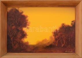 Vladár László (1958-): Őszi táj. Olaj, karton, jelzett, fakeretben, 25x35 cm