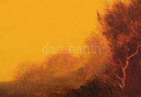 Vladár László (1958-): Őszi táj. Olaj, karton, jelzett, fakeretben, 25x35 cm