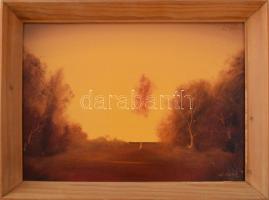 Vladár László (1958-): Határban. Olaj, karton, jelzett, fakeretben, 25x35 cm