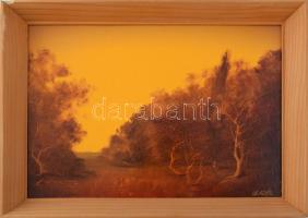 Vladár László (1958-): Erdő széle. Olaj, karton, jelzett. Kissé sérült fakeretben, 25x35 cm