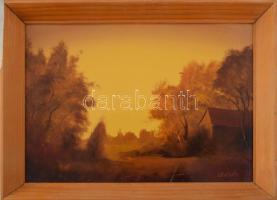 Vladár László (1958-): A kert ősszel. Olaj, karton, jelzett. Kissé sérült fakeretben, 25x35 cm