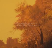 Vladár László (1958-): A kert ősszel. Olaj, karton, jelzett. Kissé sérült fakeretben, 25x35 cm