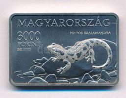 2025. 3000Ft Cu-Ni "Aggteleki Nemzeti Park / Foltos szalamandra" kapszulában T:BU