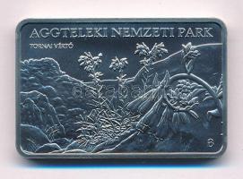 2025. 3000Ft Cu-Ni "Aggteleki Nemzeti Park / Foltos szalamandra" kapszulában T:BU