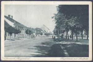 Felsőőr (Oberwart) main street and city park (EB)