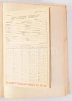 Az első magyar sportorvosi kongresszus és kiállítás 1938. (A Honvédorvosok Tudományos Egyesületének ...