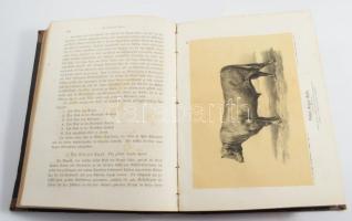 M. Fürstenberg - Ottomar Rohde: Die Rindviehzucht nach ihrem jetzigen rationellen Standpunkt. Zweite...