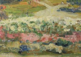 Monostori Moller Pál (1894-1978): Parkrészlet (Szolnok). Olaj, vászon, jelezve balra lent, dekoratív...