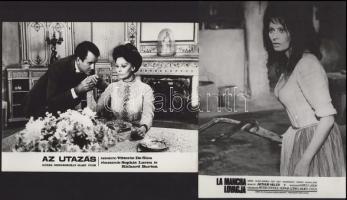 Sophia Loren főszereplésével készült filmek (Az utazás; La Mancha lovagja; Altona foglyai; Szemünk f...