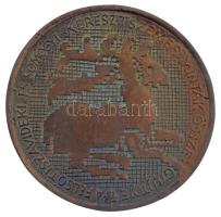 Nagy István János (1938-) 1980. "Szirmai Fóris Mária 1900-1980 / Felsőtiszavidéki és Somogyi ke...