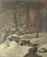 J. Hieronymus jelzéssel: Téli táj. Olaj, vászon. 70×60 cm
