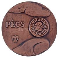 2021. "Pécs / 20 éves a pécsi dénár 2001-2021" kétoldalas öntött bronz emlékérem (98mm) T:...