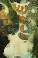 Szász Endre (1926-2003): Amerikai idő (Dragonwyck). Olaj, fatábla. Jelzés nélkül. Hátoldalán "D...