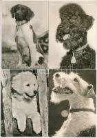 KUTYA - 40 db MODERN képeslap (30 megírt + 10 megíratlan) / DOGS - 40 modern postcards