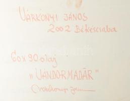 Várkonyi János (1947-): Vándormadár. Olaj, farost. Jelzett. A hátoldalán autográf felirattal. Fakere...